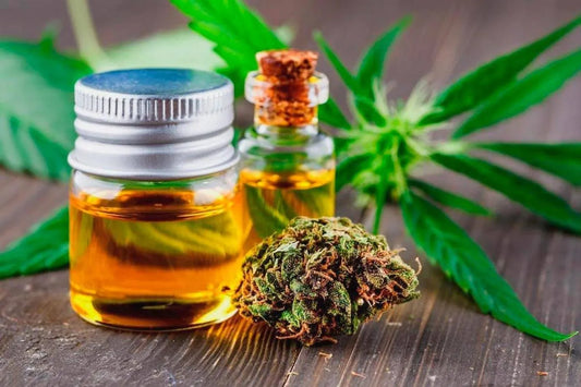 Ето какво трябва да знаете преди да използвате CBD за първи път
